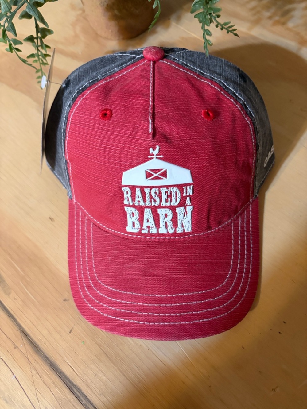 Kids Red and Gray 'Raised in a Barn' Baseball Cap